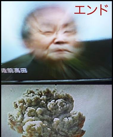 Maria Mulas – Contaminazione