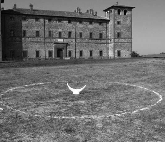 Teresa Ragonesi – Prendere il toro per le corna