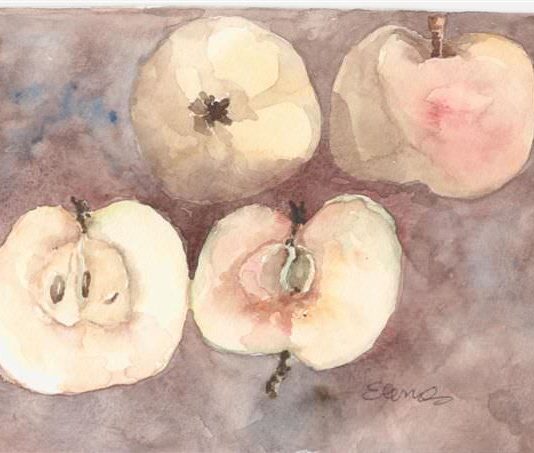 Donatella Degiampietro / Elena Forni – Brac’s Art on table