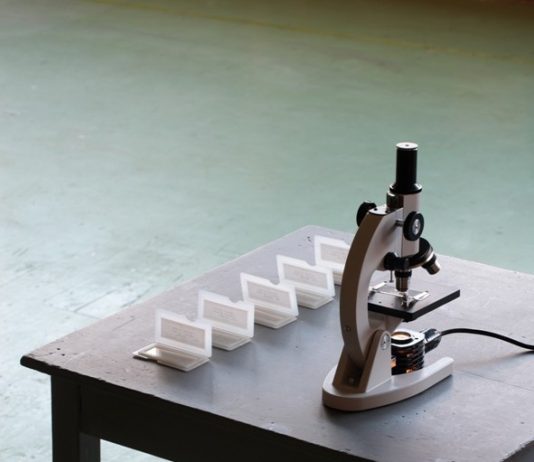 Elisa Bollazzi – Microcollection Elisa Bollazzi – Microcollection