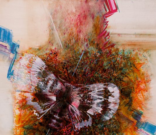 Giulio Belluz – Falena