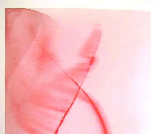 MAD Al Colonial:  Aldamaria Gnaccarini – 
Poesie senza titolo in rime trasparenti