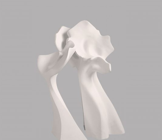 Renata Carneiro da Cunha – Senza fine