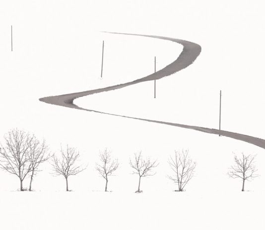 Riccardo Varini – Chiaro