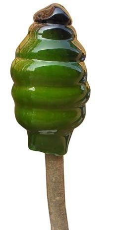 Roberto Bertazzon – Artistiche Emozioni