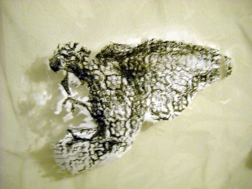 Sara Savini – Stessa Strada