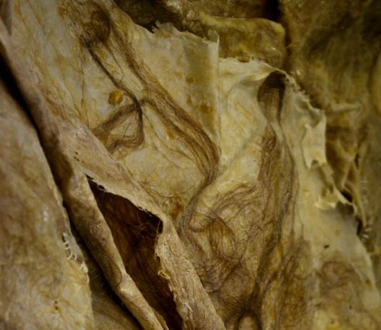 Camilla Topuntoli  – In_Utero