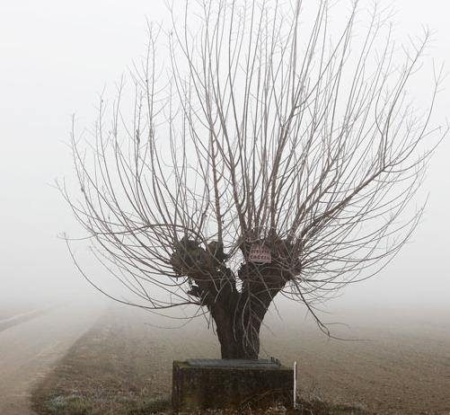 Conditions Conditions