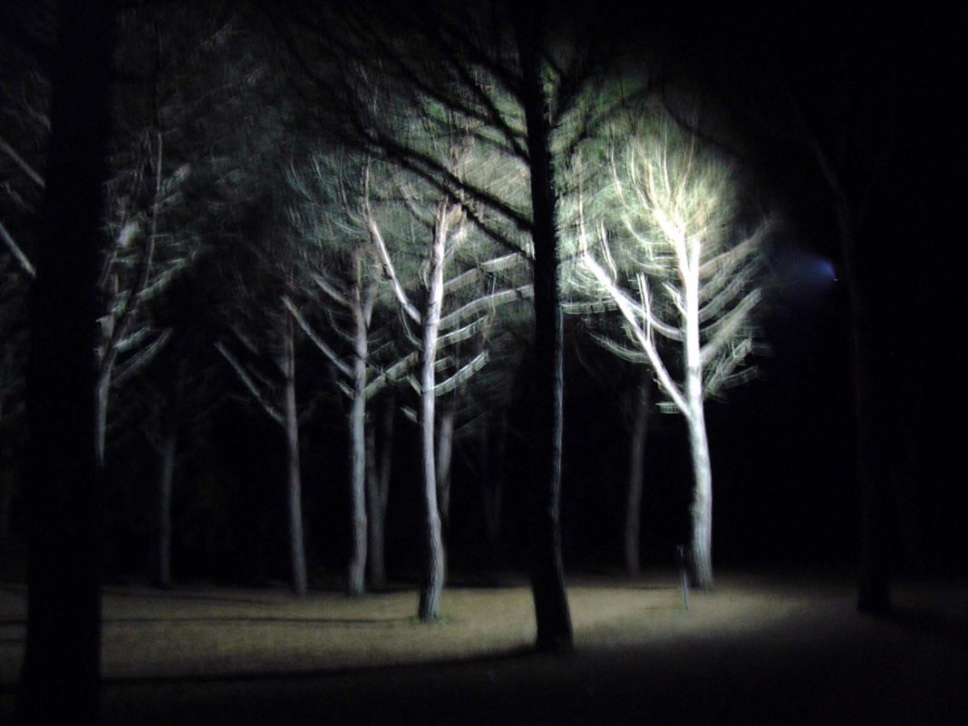 Daniele Ciullini – L’orma della sirenahttps://www.exibart.com/repository/media/eventi/2013/01/daniele-ciullini-8211-l’orma-della-sirena-1068x801.jpg