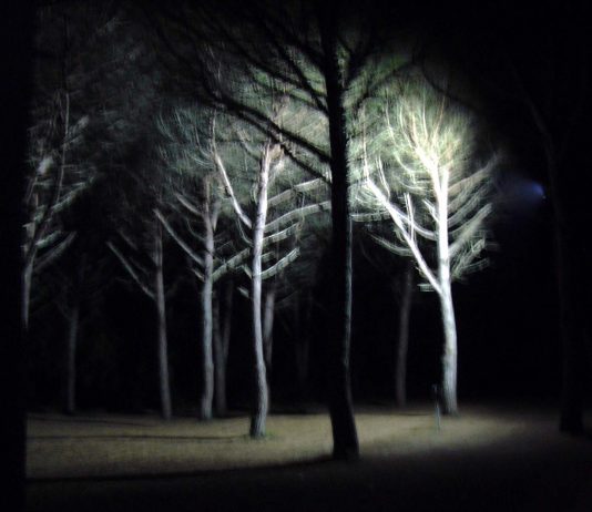 Daniele Ciullini – L’orma della sirena