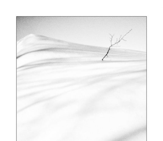 Davide Niglia – Silenzi