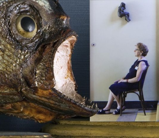 Davide Pizzigoni – Loropernoi