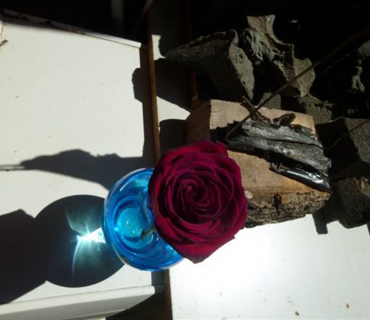 Paola Neri – Brac’s Art on Table