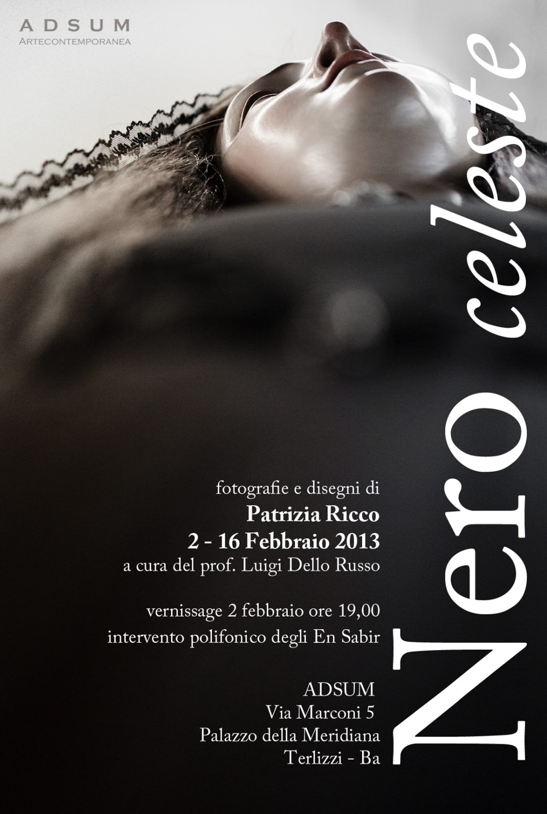 Patrizia Ricco – Nero Celestehttps://www.exibart.com/repository/media/eventi/2013/01/patrizia-ricco-8211-nero-celeste-1068x1589.jpg