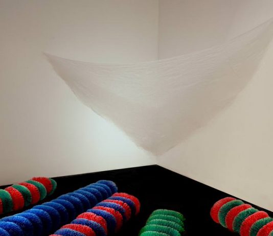 Pino Pascali – Cinque bachi da setola e un bozzolo / Luca Patella – SKMP2