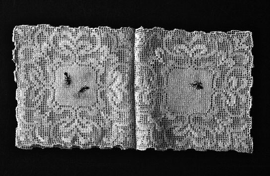 Sophie Benini Pietromarchi – Libri Friabilihttps://www.exibart.com/repository/media/eventi/2013/01/sophie-benini-pietromarchi-8211-libri-friabili.jpg