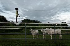 Teresa Carreño  – Venezuela Contadino