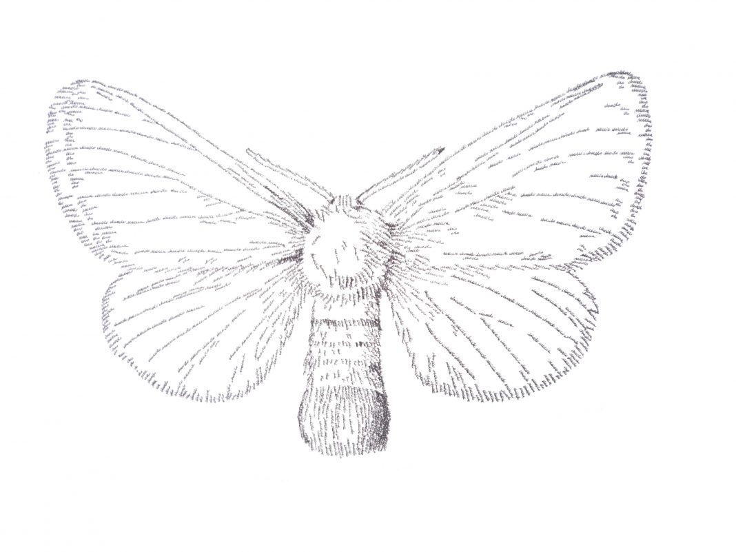 Alessandra Maio –  Life is honeyhttps://www.exibart.com/repository/media/eventi/2013/02/alessandra-maio-8211-life-is-honey-1068x801.jpg