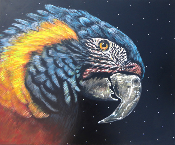 Francesca Anastasi – Tropical voicehttps://www.exibart.com/repository/media/eventi/2013/02/francesca-anastasi-8211-tropical-voice.jpg