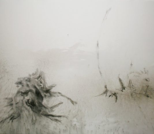 Le Cinque Variazioni