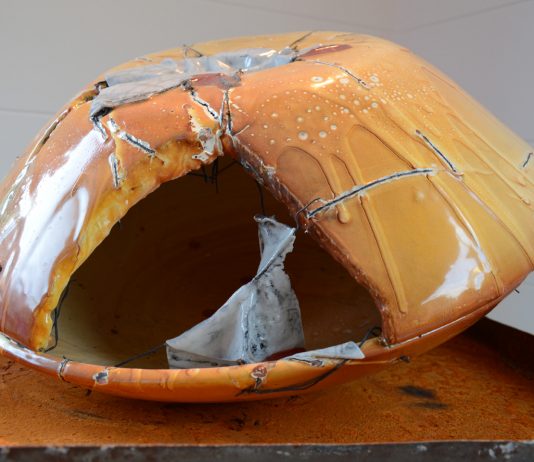 Stefania Pennacchio – Soma, Somatos. Il corpo del corpo Stefania Pennacchio – Soma, Somatos. Il corpo del corpo