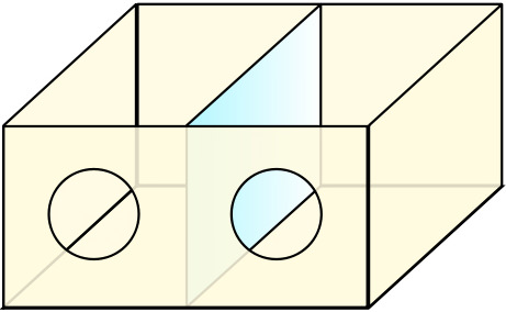 The Kakofonie 007 (The Sound Issue) The Kakofonie 007 (The Sound Issue)