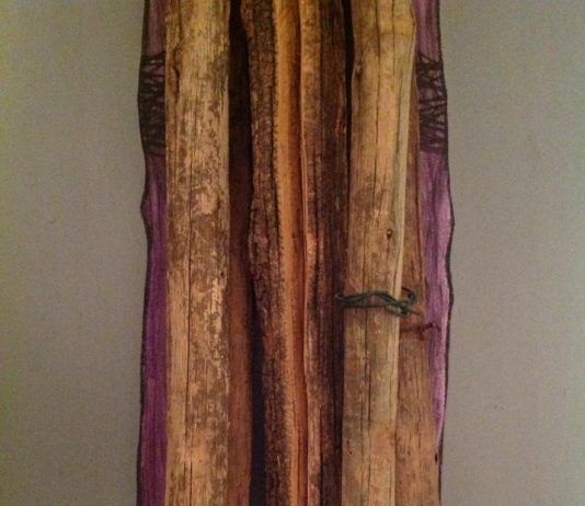 Alessandro Ceni – Ager, Saltus, Silva