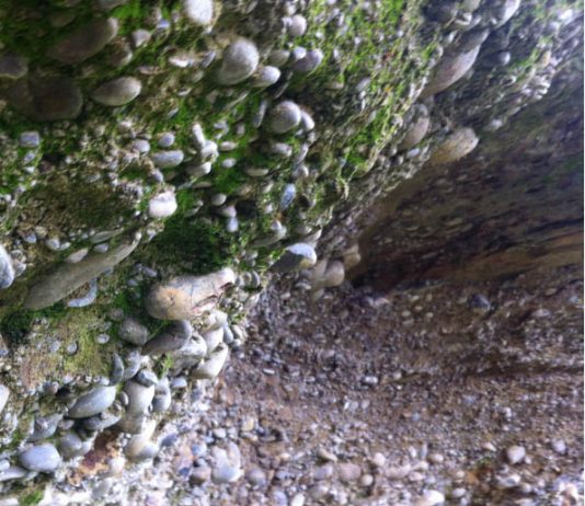 Bruna Esposito – Sassi cantori