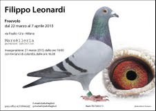 Filippo Leonardi – FREEVOLO  Pigeon in residence