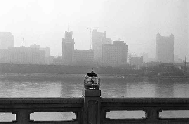 Francesco Zizola – Black & White,1998https://www.exibart.com/repository/media/eventi/2013/03/francesco-zizola-8211-black-038-white1998.jpg