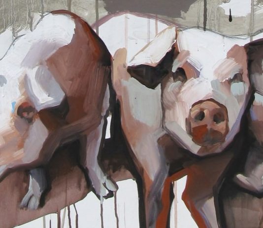 Roberto Fontana – A proposito di maiali