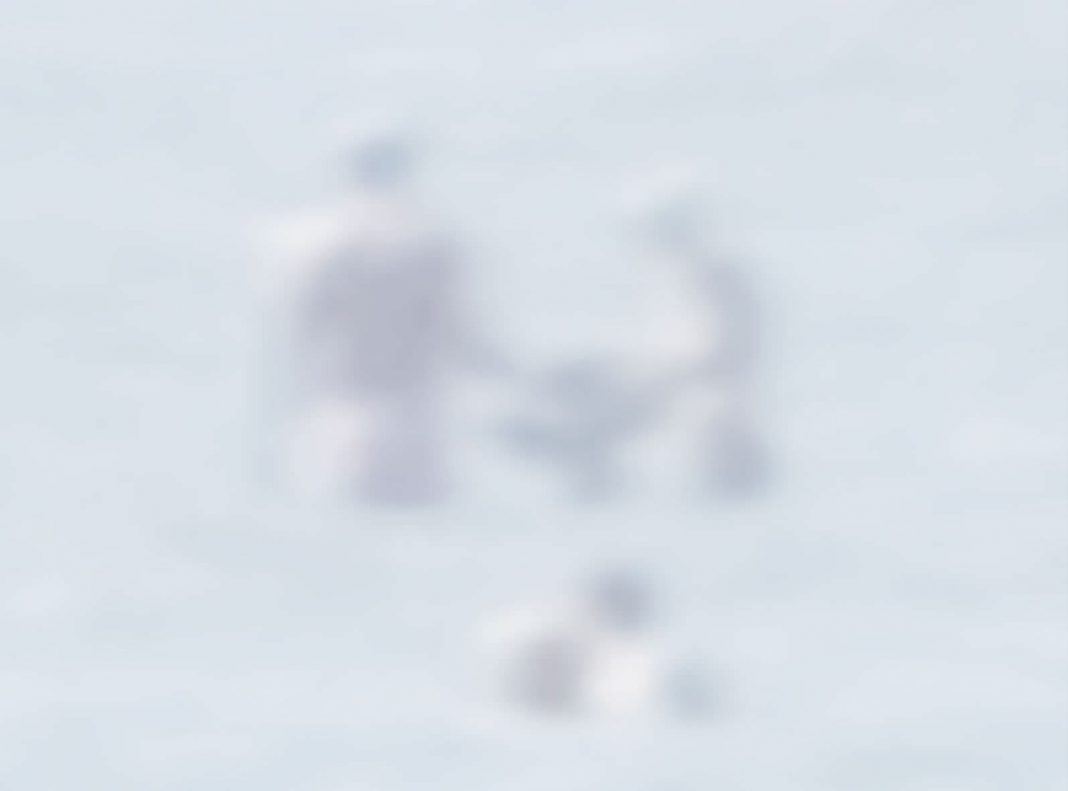 Stefano Baroni – Animulahttps://www.exibart.com/repository/media/eventi/2013/03/stefano-baroni-8211-animula-1068x791.jpg