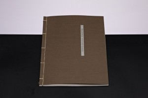 Diana Scherer –  Nurture Studies. Incontro e booksigning