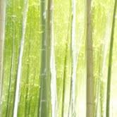 Francesca Ranno – Mei An Luce e ombra