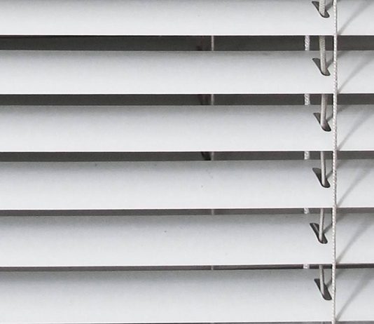 Gizela Mickiewicz – Persistent Front