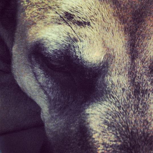 Misia Mi-Strani – Dreams kohttps://www.exibart.com/repository/media/eventi/2013/04/misia-mi-strani-8211-dreams-ko.jpg