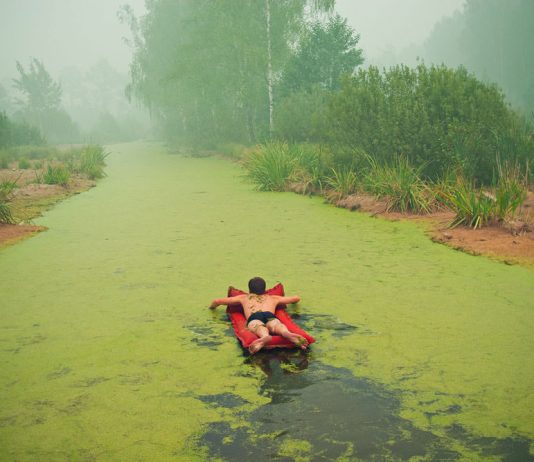 Roman Mokrov / Semen Motolyanets – Superficie Aggiunta