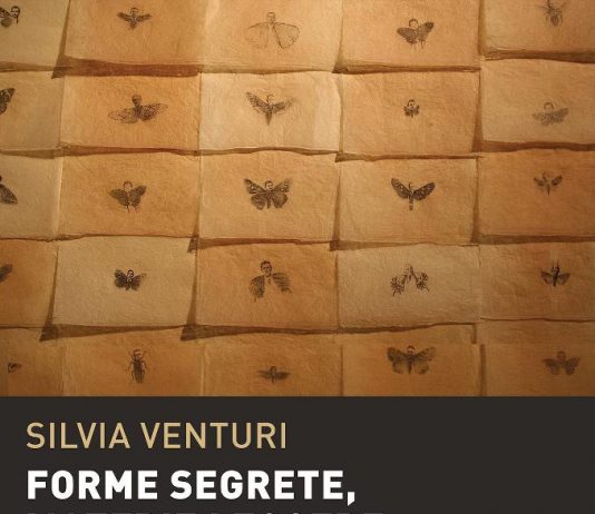 Silvia Venturi – Forme Segrete, materie leggere