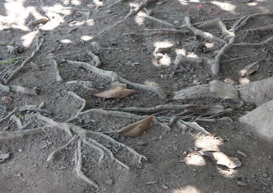 Simoncini.Tangi – Micro-Cambiamenti