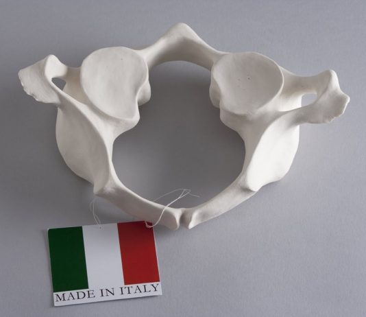 Annalisa Guerri – Made in Italy