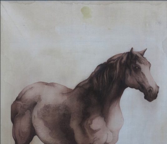 Beatrice Corradi Dell’Acqua / Giulio Scutellari – Naturalia