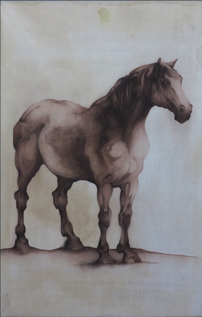 Beatrice Corradi Dell’Acqua / Giulio Scutellari – Naturaliahttps://www.exibart.com/repository/media/eventi/2013/05/beatrice-corradi-dell8217acqua-giulio-scutellari-8211-naturalia.jpg