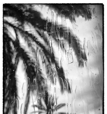 Claudio Gazzoni – Rain