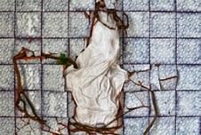 Graziano Locatelli – Disabitare