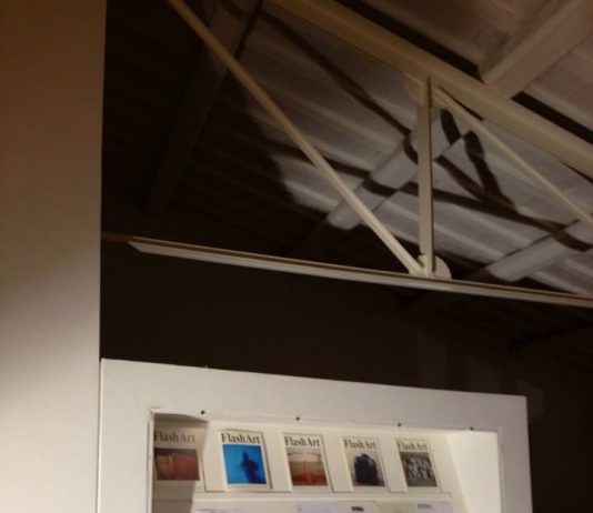 Luca Pucci – Prima Linea [2]. A history of the Trevi Flash Art Museum