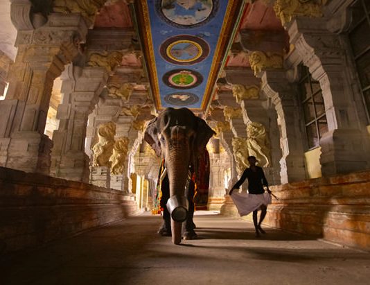 Mad on Paper. Bruno Tamiozzo – Colours of India