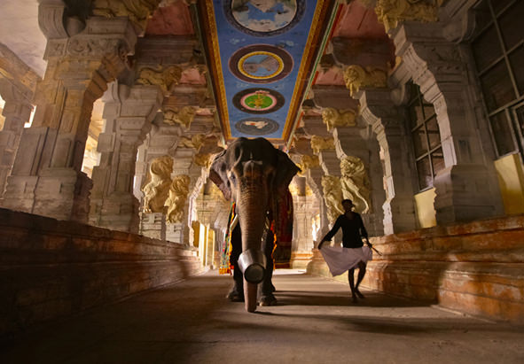 Mad on Paper. Bruno Tamiozzo – Colours of Indiahttps://www.exibart.com/repository/media/eventi/2013/05/mad-on-paper.-bruno-tamiozzo-8211-colours-of-india.jpg