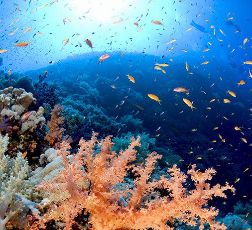 Renato La Grassa – Meraviglie sommerse