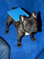 Self Publish, Be Happy Summer Camp 2013 Self Publish, Be Happy Summer Camp 2013