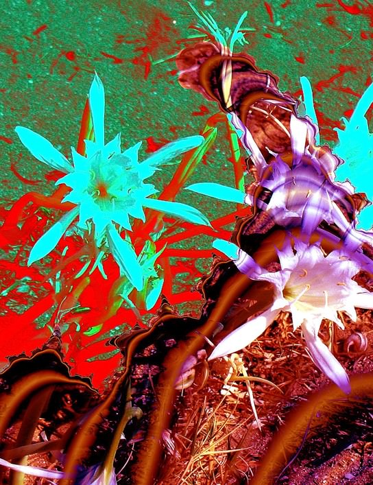 Sinergie creativehttps://www.exibart.com/repository/media/eventi/2013/05/sinergie-creative.jpg